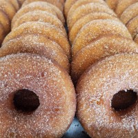 Delicious doughnuts powdered in sugar ordered in standing rows